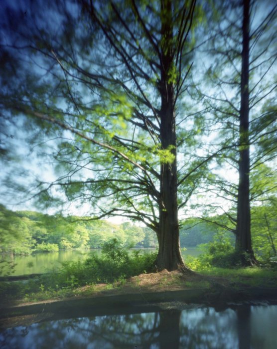 pinhole photograph