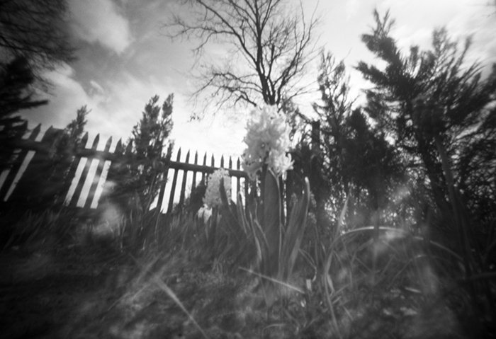 pinhole photograph