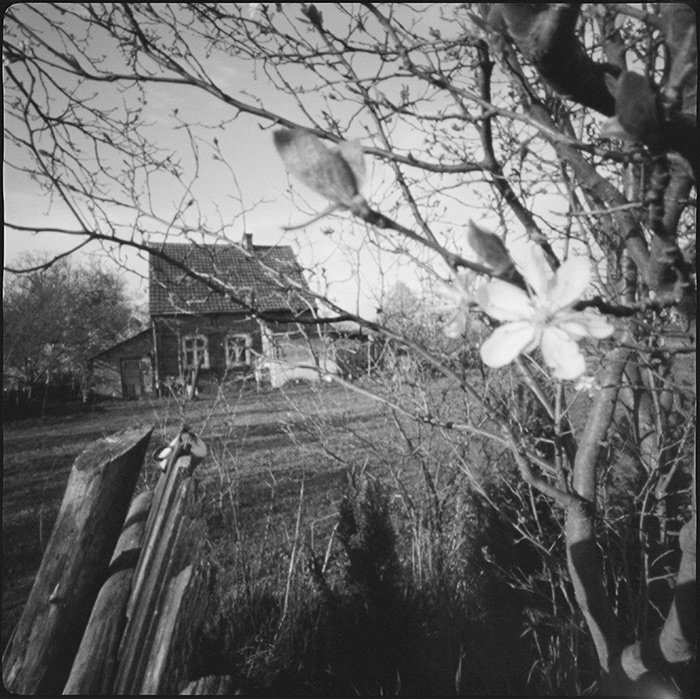 pinhole photograph