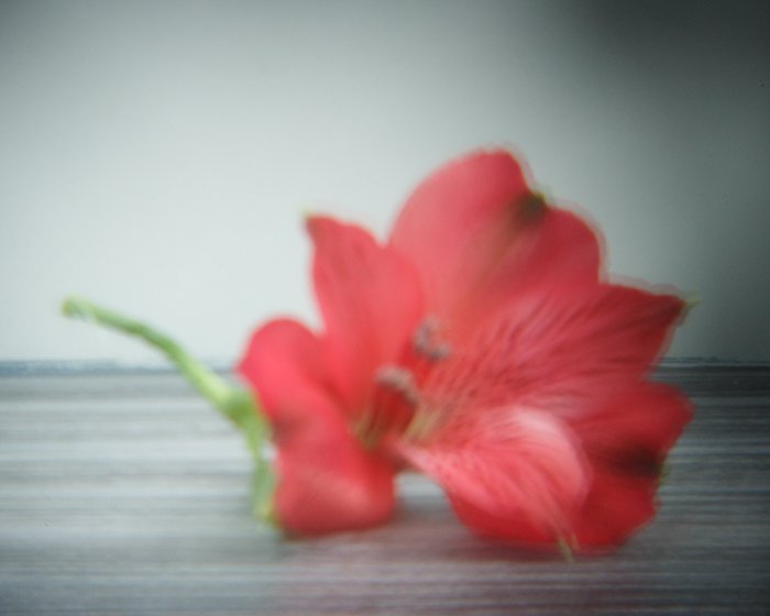 pinhole photograph