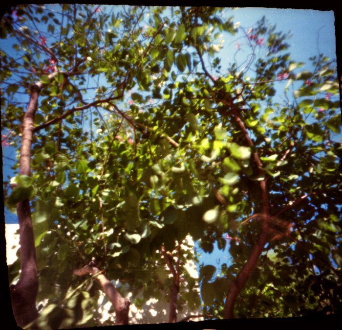 pinhole photograph