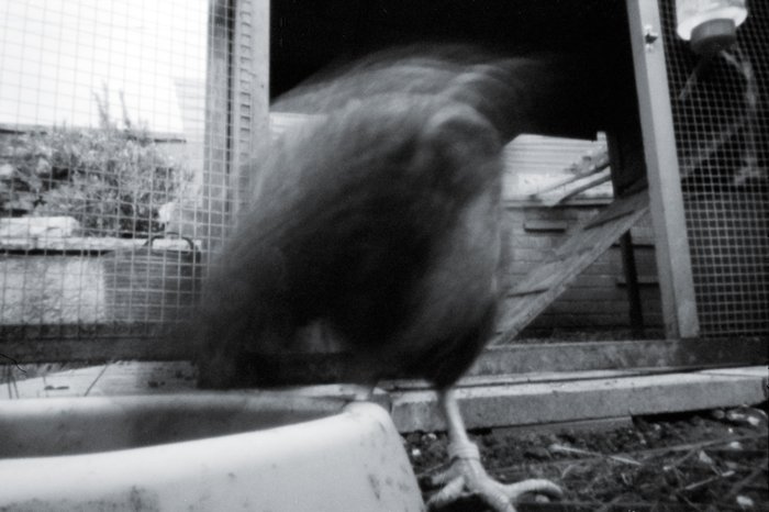 pinhole photograph
