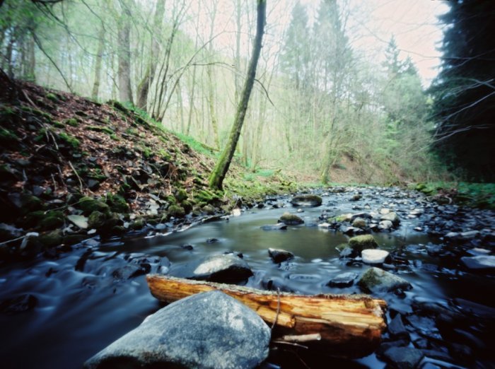 pinhole photograph