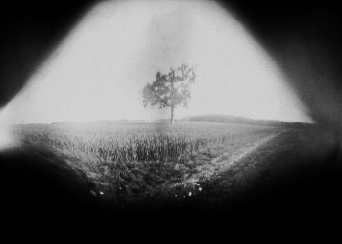 pinhole photograph