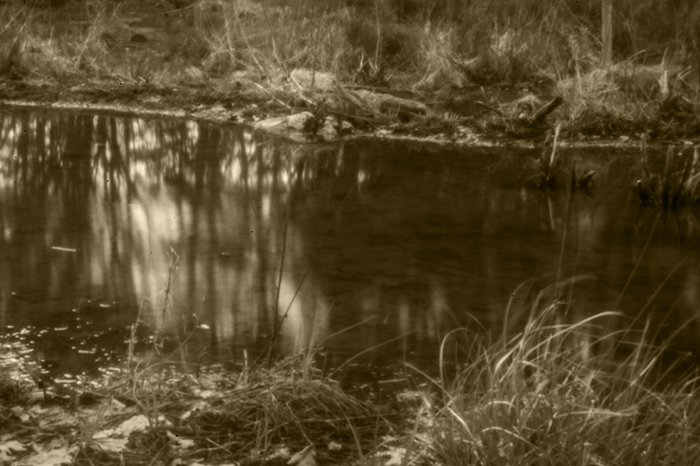 pinhole photograph