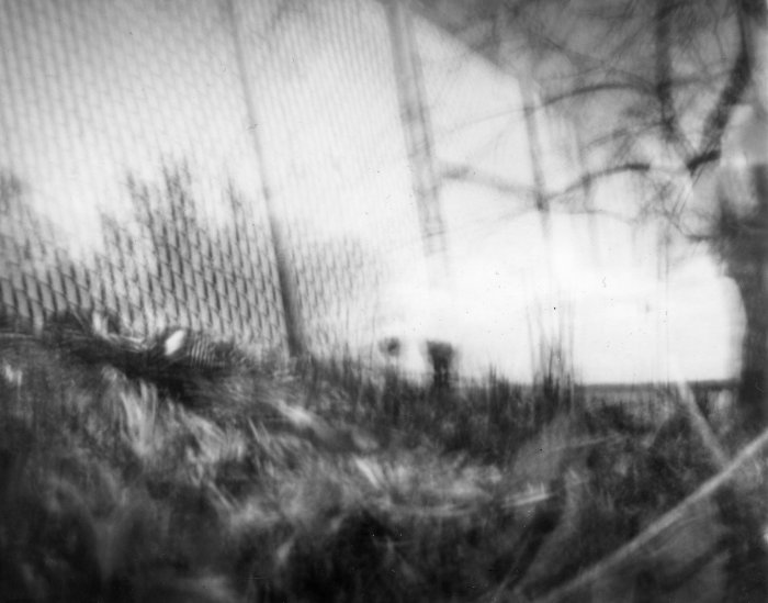 pinhole photograph