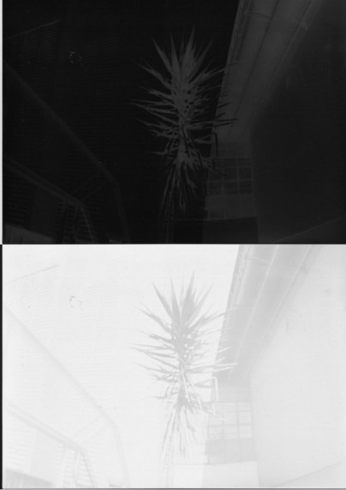 pinhole photograph