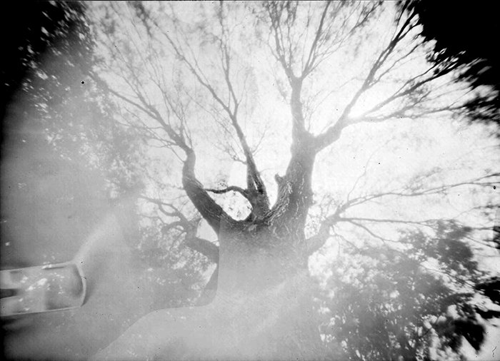 pinhole photograph