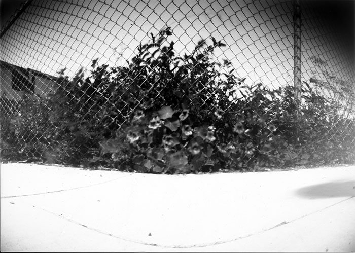 pinhole photograph