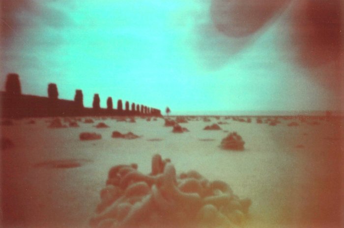 pinhole photograph