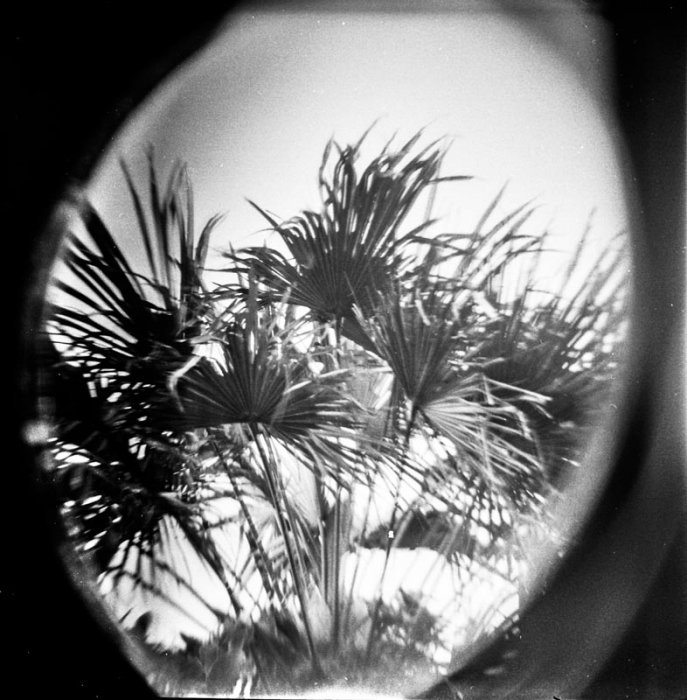 pinhole photograph