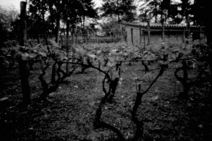 pinhole photograph
