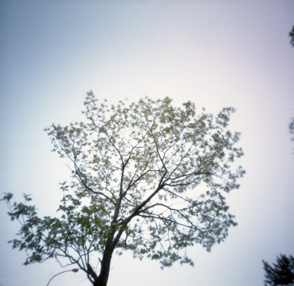 pinhole photograph