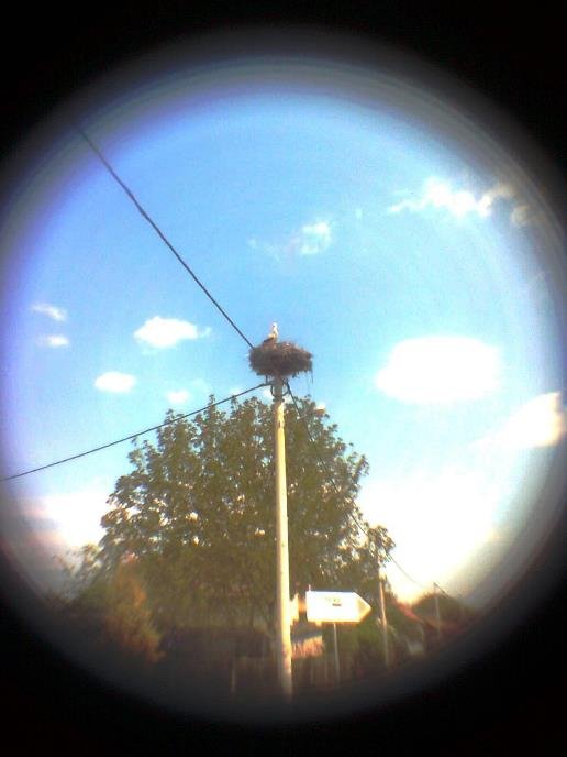 pinhole photograph