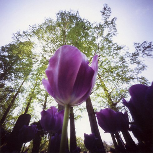 pinhole photograph