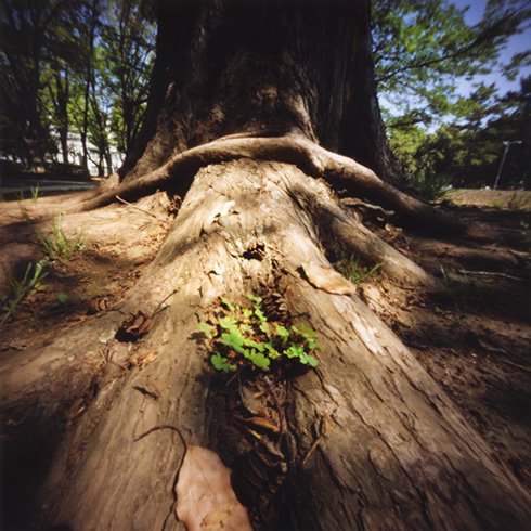 pinhole photograph