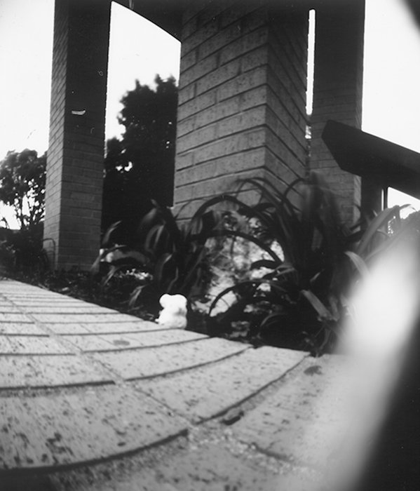 pinhole photograph