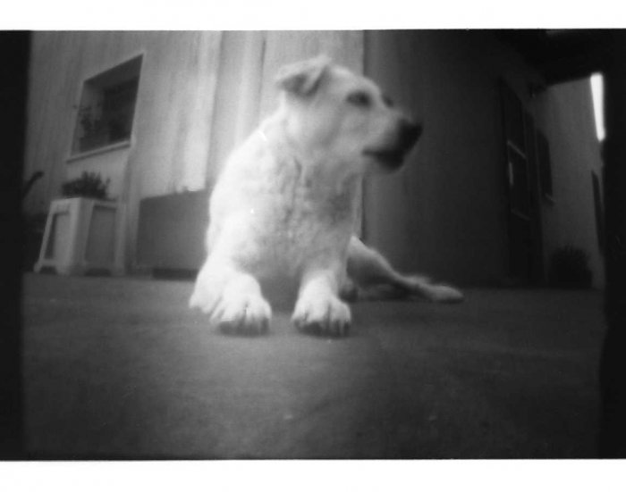 pinhole photograph