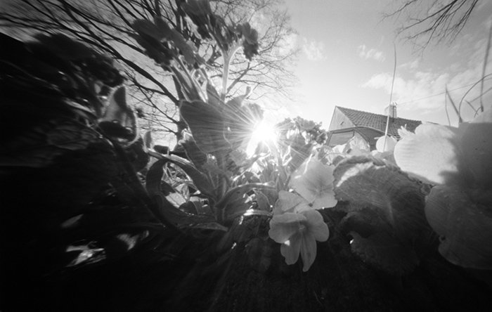 pinhole photograph