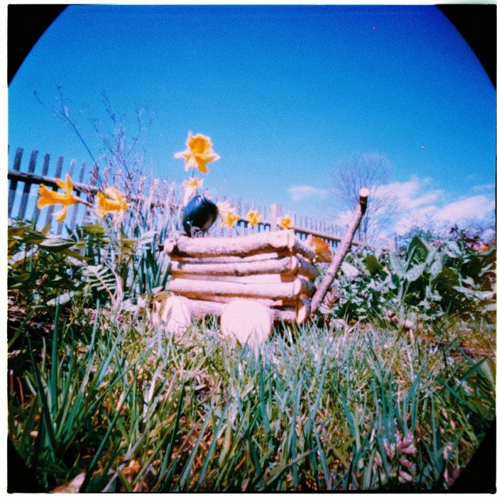 pinhole photograph