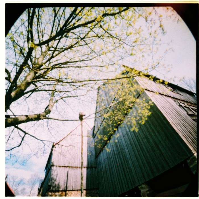 pinhole photograph