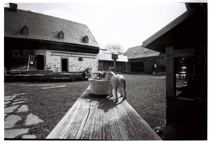 pinhole photograph