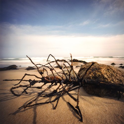 pinhole photograph