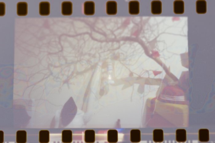 pinhole photograph