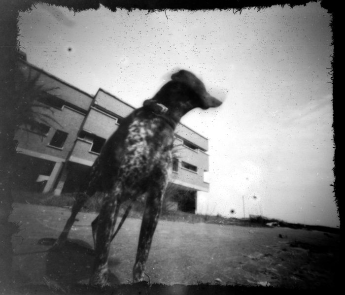 pinhole photograph