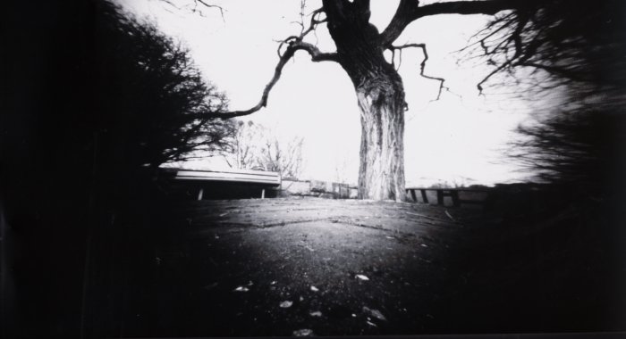 pinhole photograph