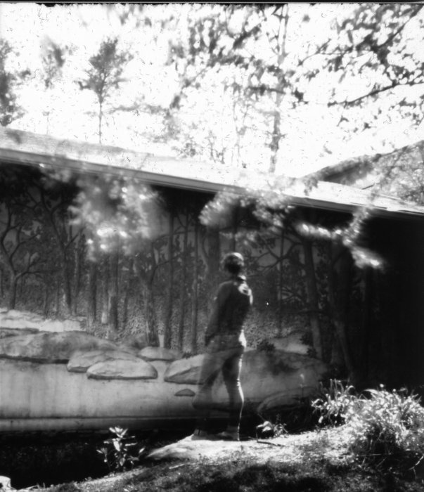 pinhole photograph