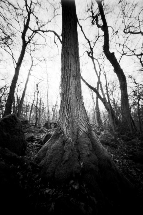 pinhole photograph