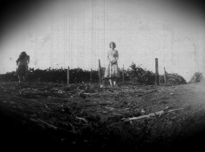 pinhole photograph