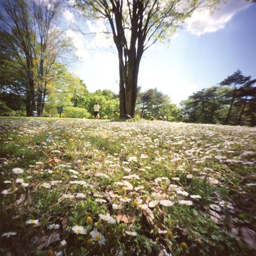 pinhole photograph