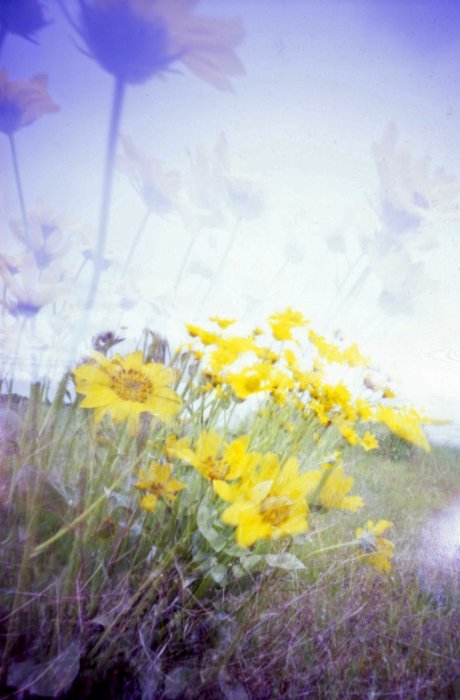 pinhole photograph