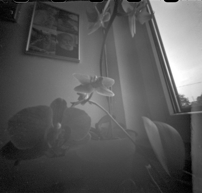 pinhole photograph
