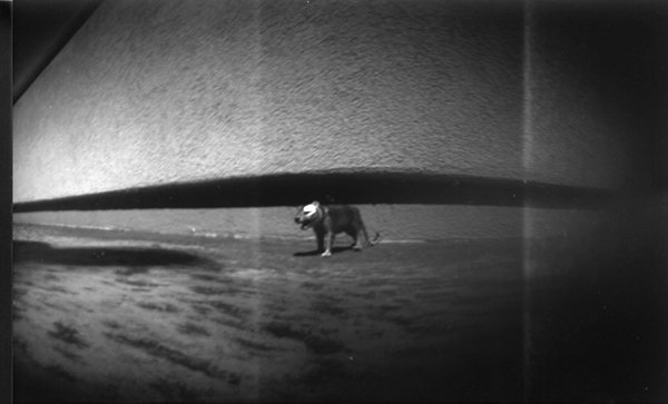 pinhole photograph