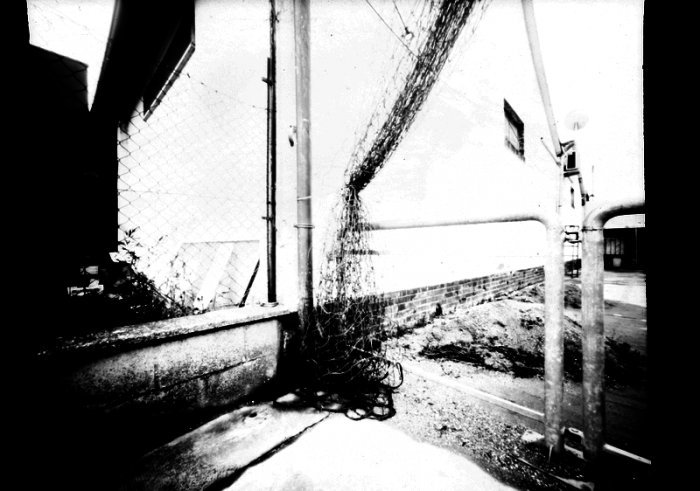 pinhole photograph
