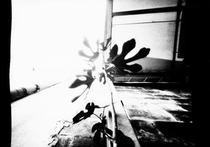 pinhole photograph