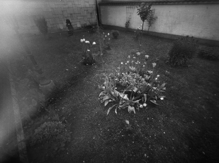 pinhole photograph