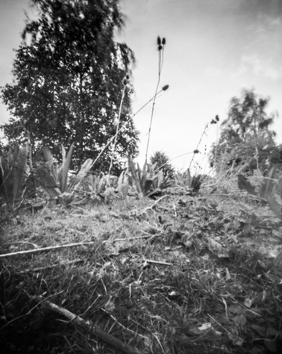 pinhole photograph