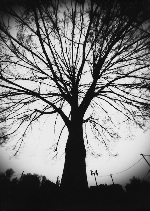 pinhole photograph