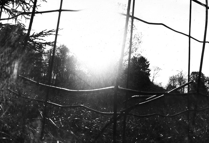 pinhole photograph