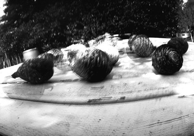 pinhole photograph