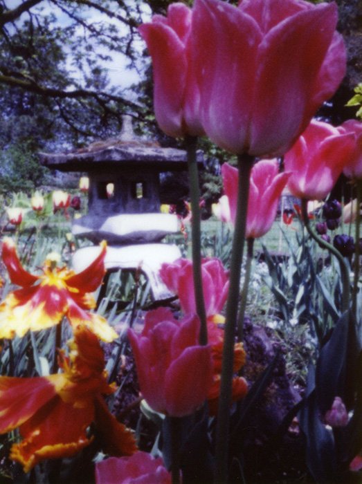 pinhole photograph