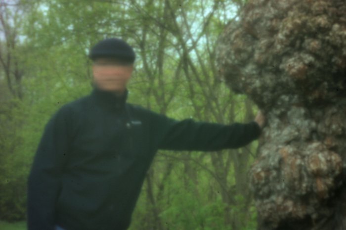 pinhole photograph