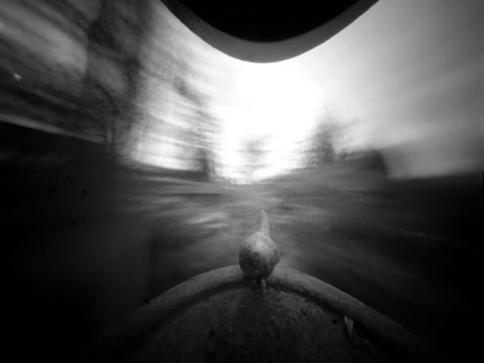 pinhole photograph