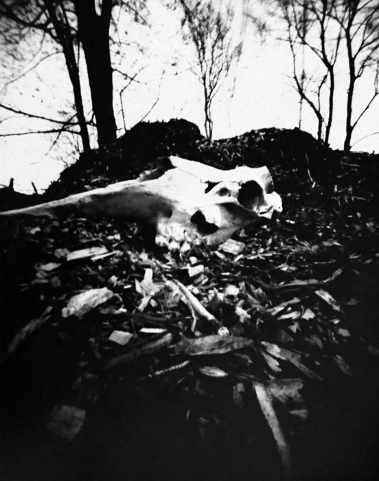 pinhole photograph