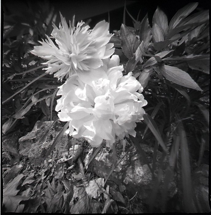 pinhole photograph