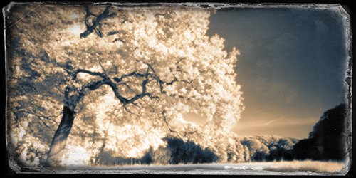pinhole photograph